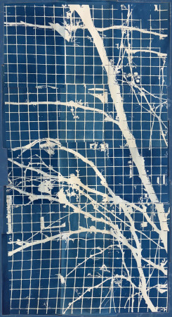 white vines moving across a grid of small blue squares